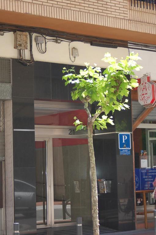 Pension Cinco Villas ログローニョ エクステリア 写真